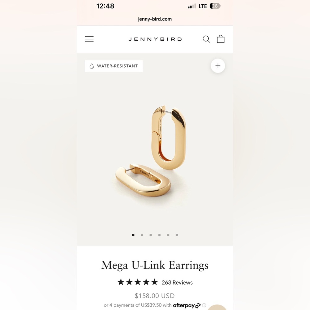 Jenny Bird Gold Mega U-Link Earrings